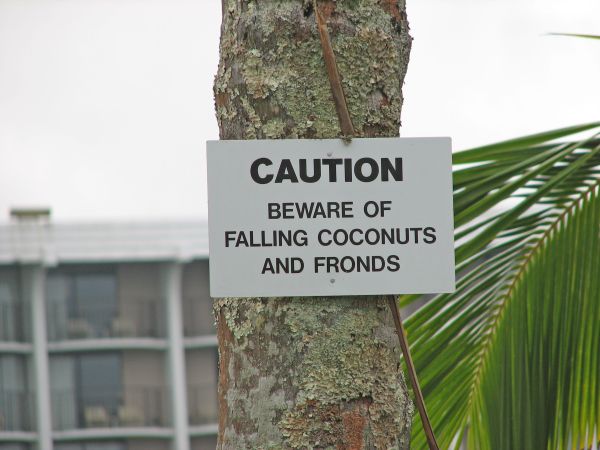 Coconut warning sign
