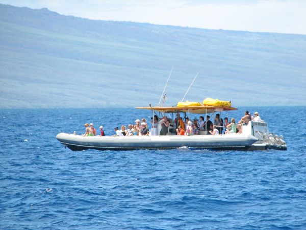 First whale watch boat