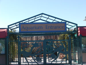 Albuquerque Aquarium entrance